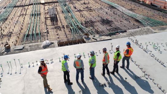 On Site Walk Service